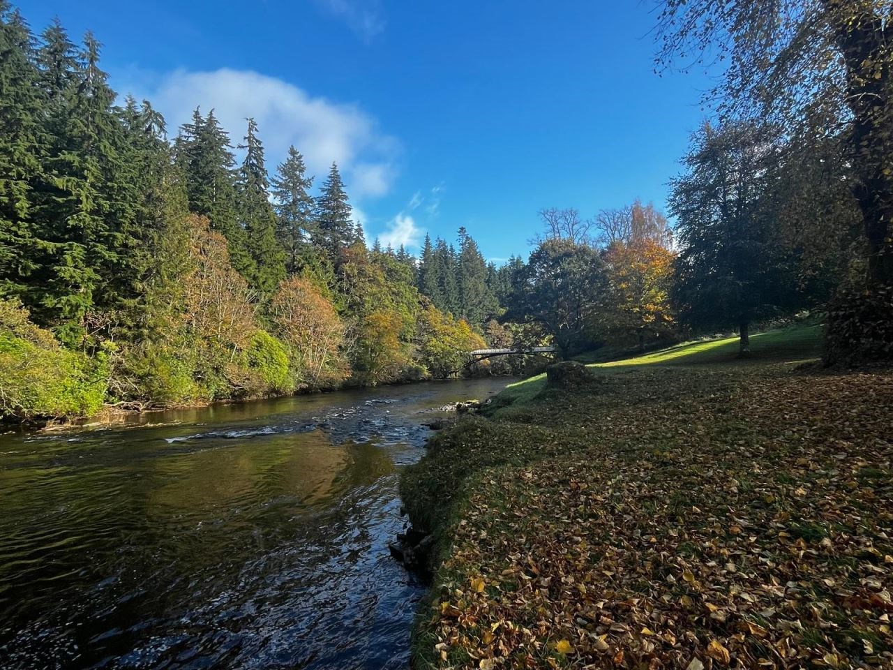 A Blank Worth Remembering